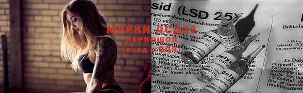 спайс Мегион