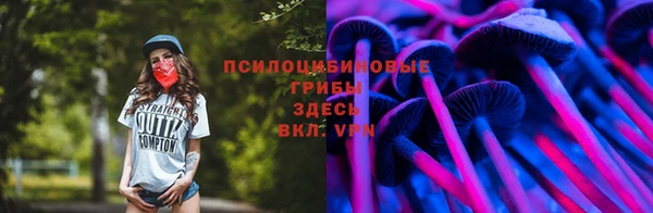 прущий лед Медвежьегорск