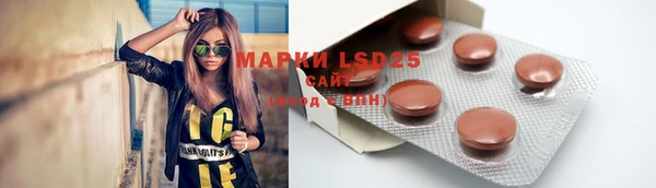 спайс Мегион
