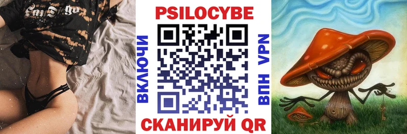 mega ТОР  Дыгулыбгей  Галлюциногенные грибы Psilocybe 
