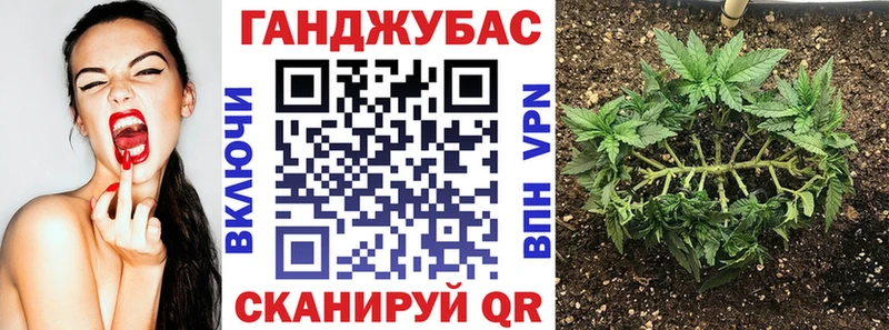 купить наркотик  Дыгулыбгей  mega tor  Конопля индика 